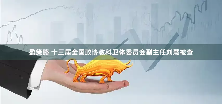 盈策略 十三届全国政协教科卫体委员会副主任刘慧被查
