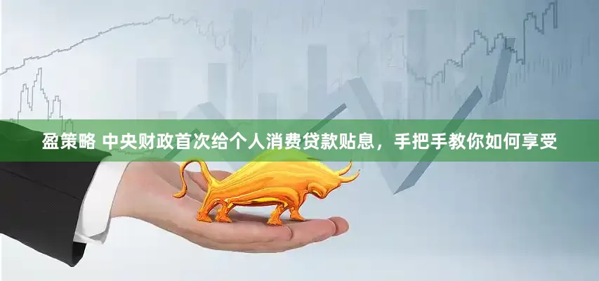 盈策略 中央财政首次给个人消费贷款贴息，手把手教你如何享受
